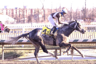 Download app from appStore