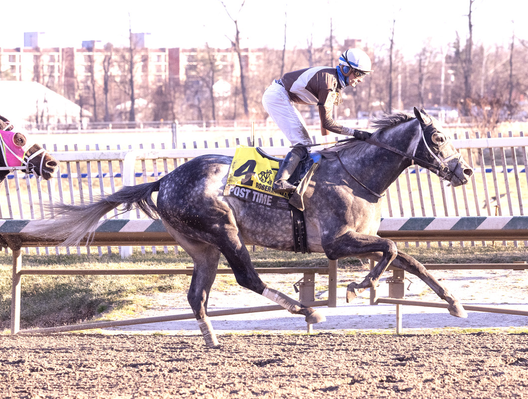 Download app from appStore