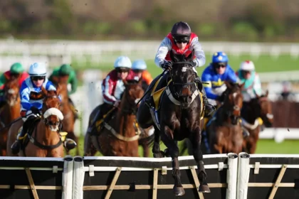 Download app from appStore