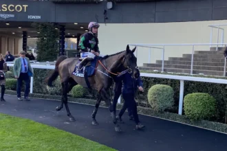 Download app from appStore