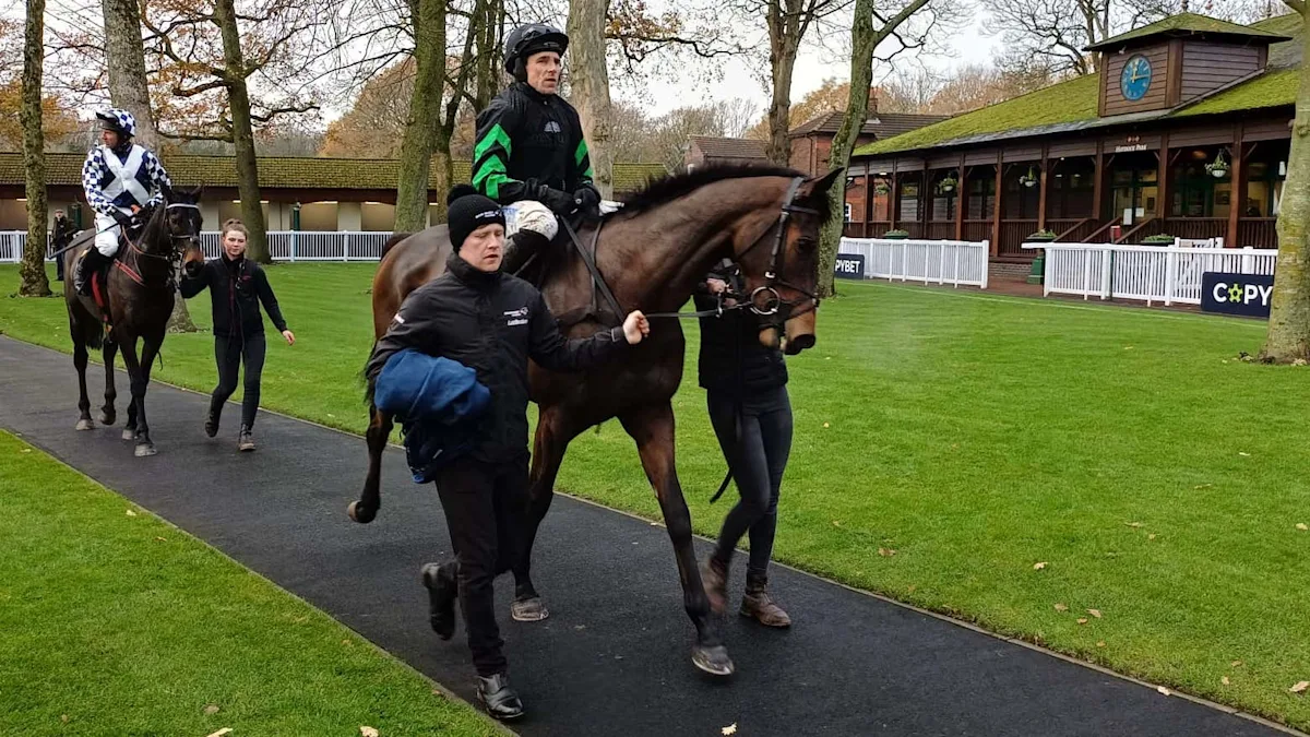 Download app from appStore