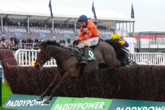 Download app from appStore