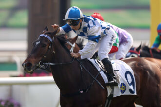 Download app from appStore