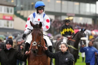 Download app from appStore