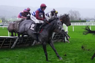 Download app from appStore