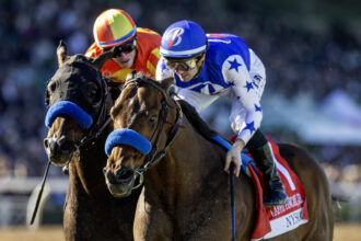 Download app from appStore