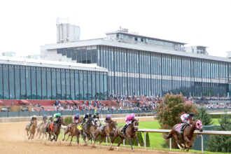 Download app from appStore