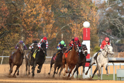 Download app from appStore