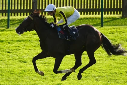 Download app from appStore