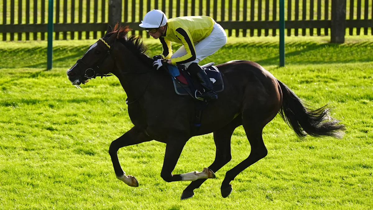 Download app from appStore