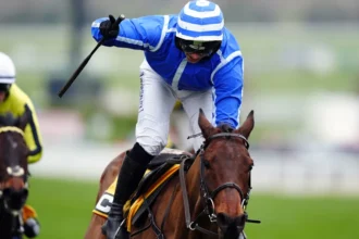 Download app from appStore