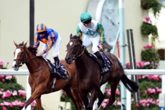 Download app from appStore