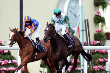 Download app from appStore