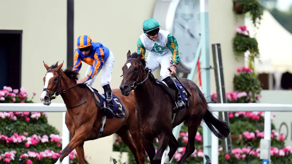 Download app from appStore