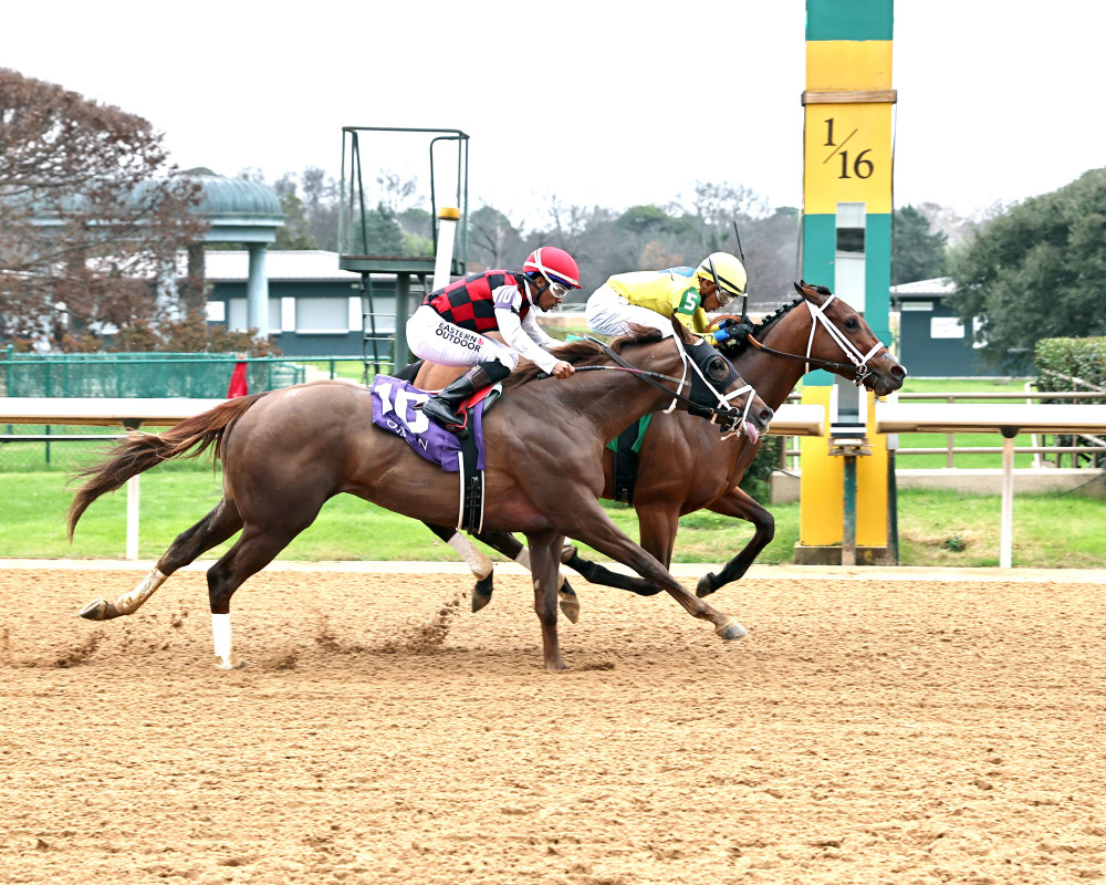 Download app from appStore