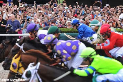 Download app from appStore