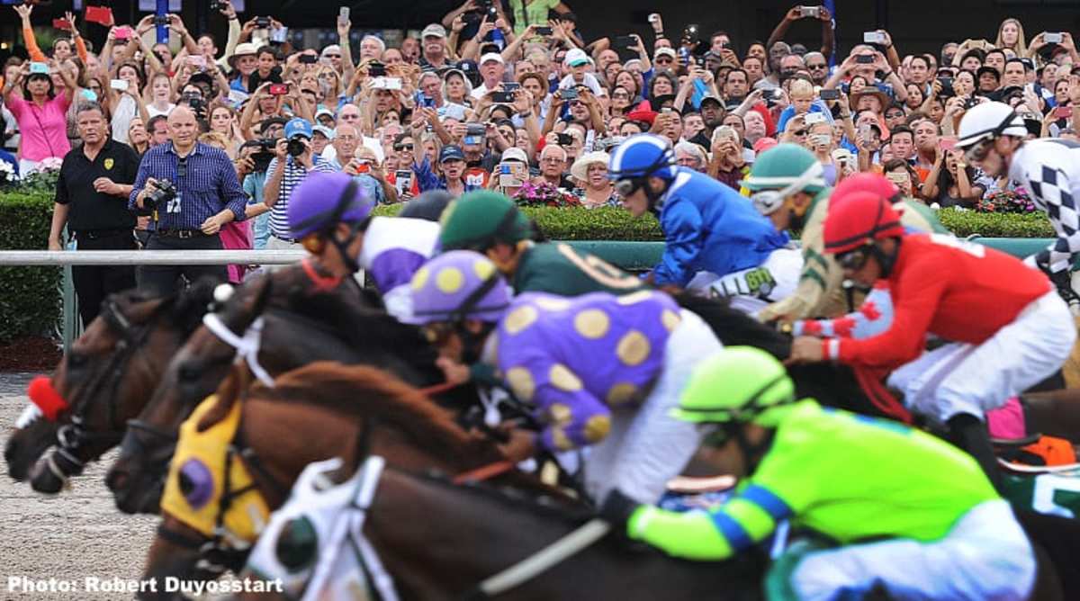 Download app from appStore