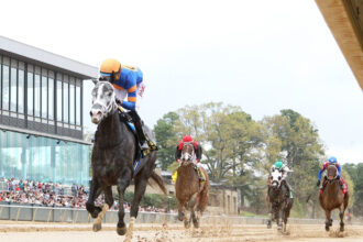 Download app from appStore