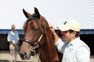 Runnymede Farm Heir Catesby Clay boosts preparation for Thoroughbred career with university internship