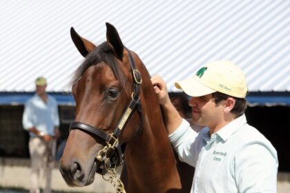 Runnymede Farm Heir Catesby Clay boosts preparation for Thoroughbred career with university internship