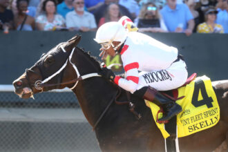 Download app from appStore