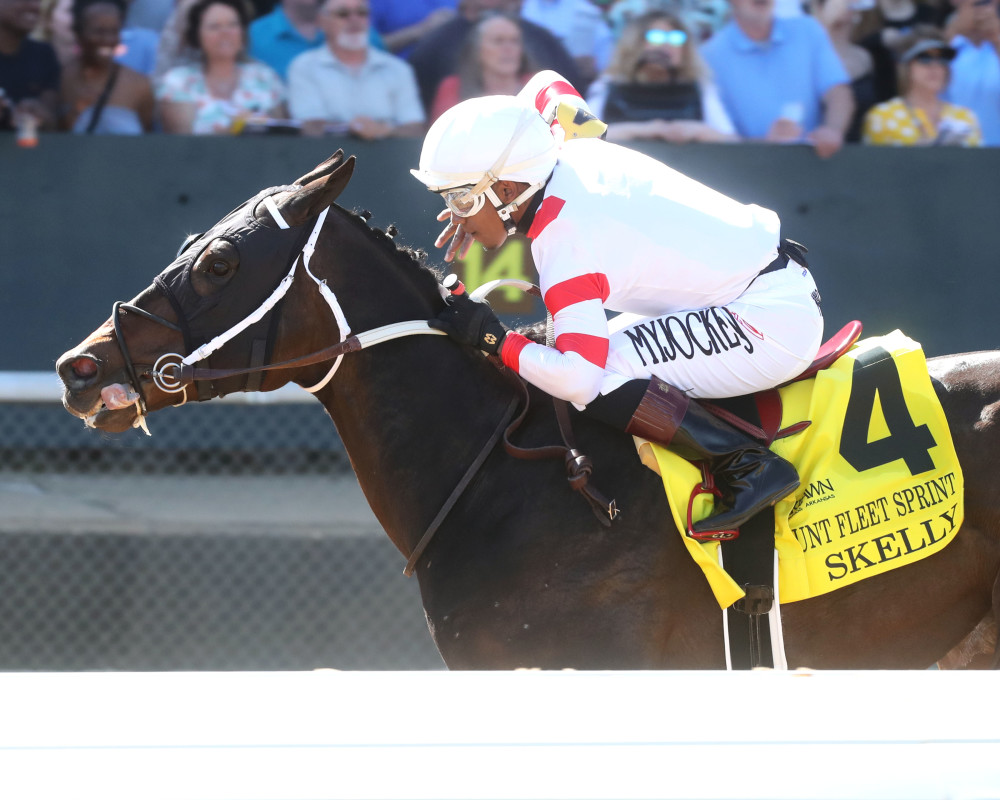 Download app from appStore