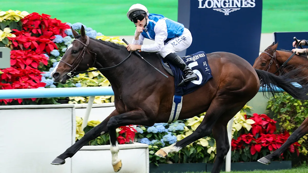 Download app from appStore