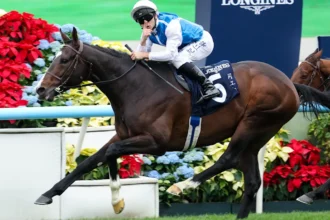 Download app from appStore