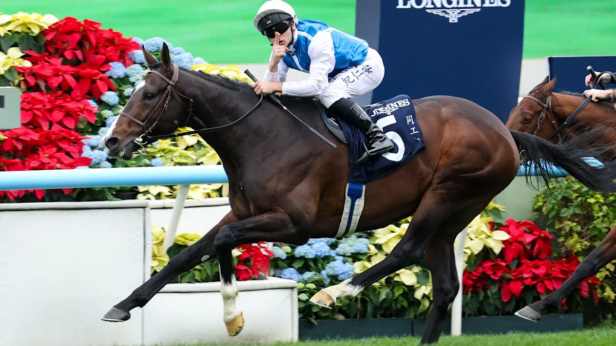 Download app from appStore