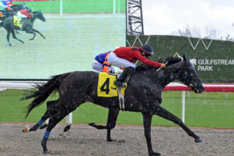 Download app from appStore