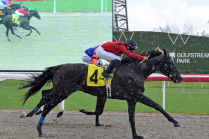 Download app from appStore