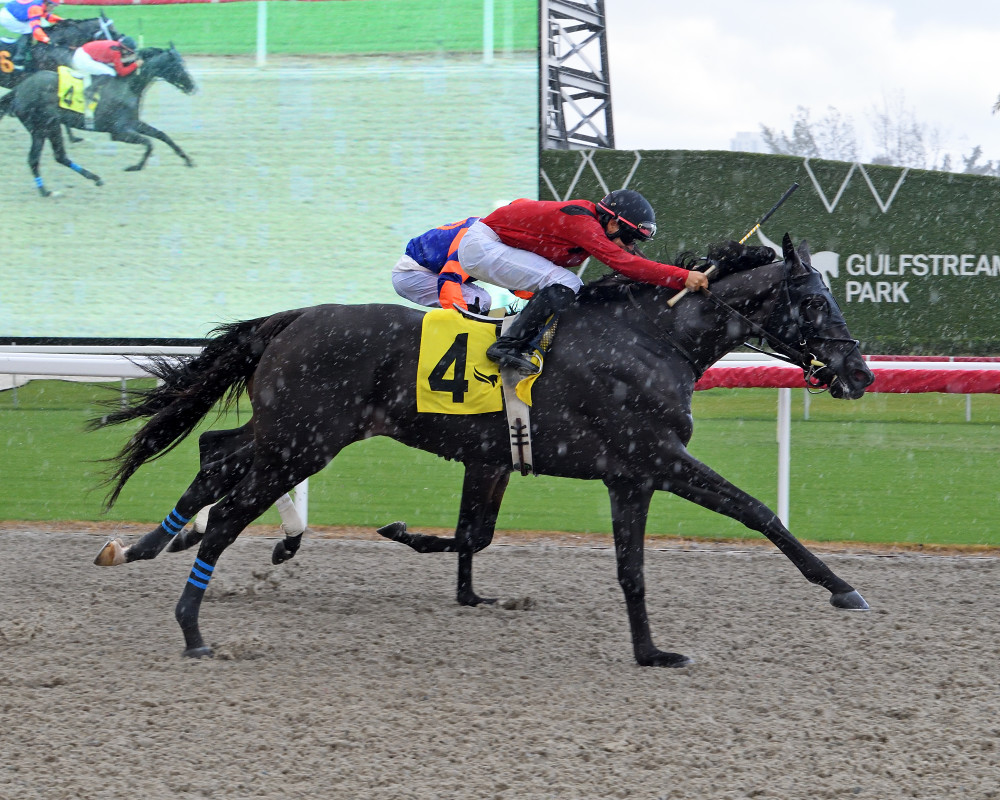 Download app from appStore