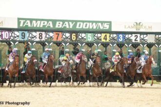 Download app from appStore