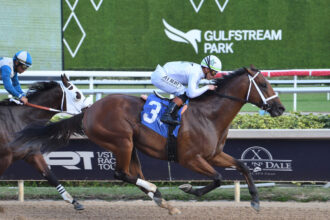 Download app from appStore