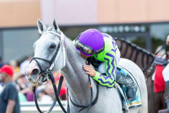 Download app from appStore