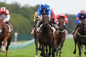 Download app from appStore