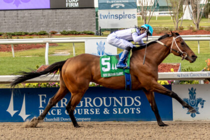 Download app from appStore