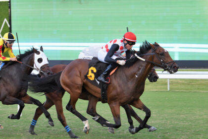 Download app from appStore