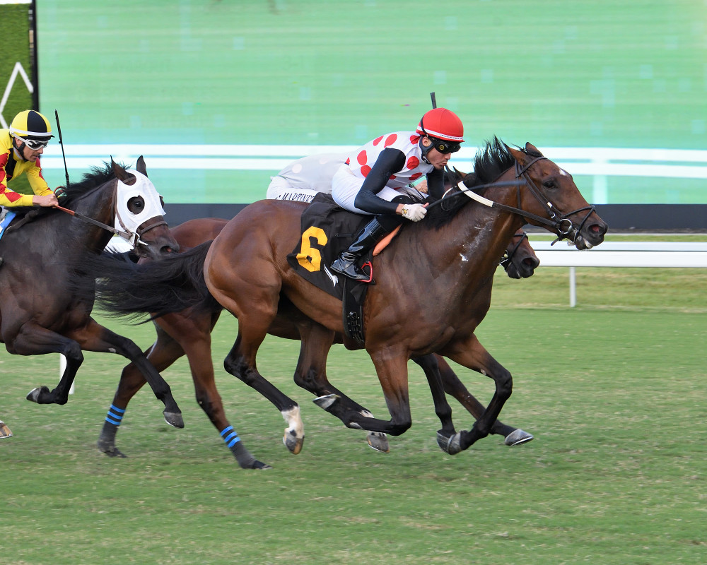 Download app from appStore