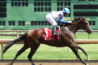 Download app from appStore