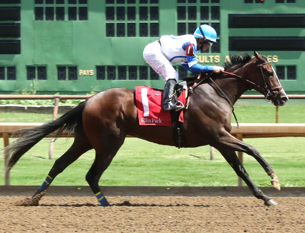 Download app from appStore