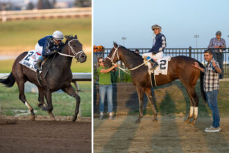 Download app from appStore