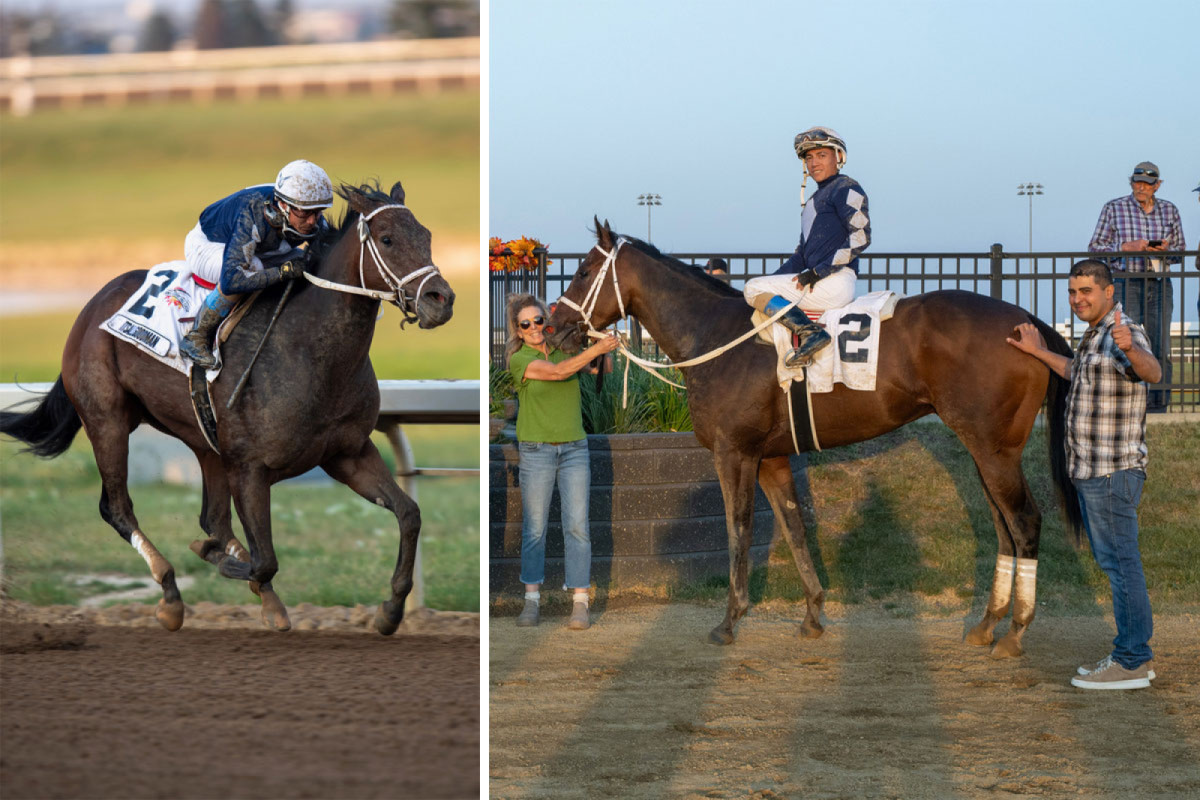 Download app from appStore