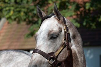 New students and prospects