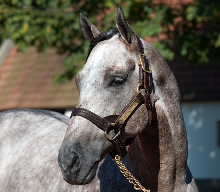 New students and prospects