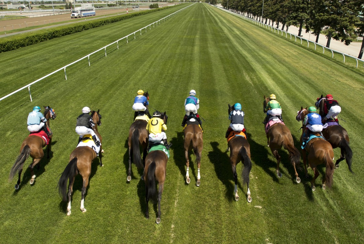 Download app from appStore