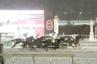 Download app from appStore