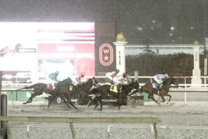 Download app from appStore