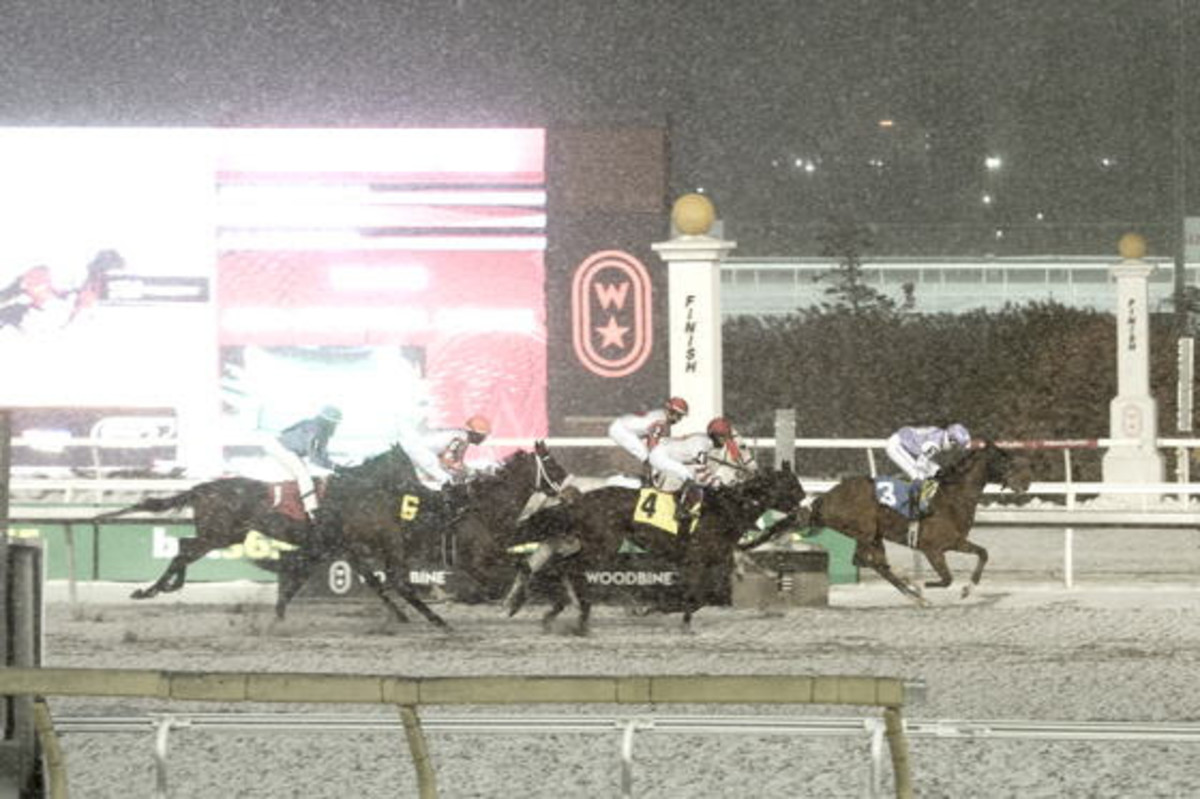 Download app from appStore