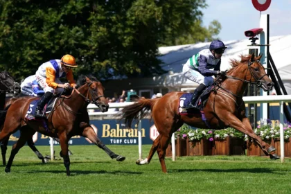 Download app from appStore